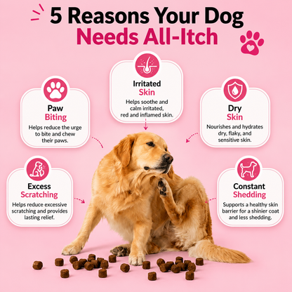 Gummita All-Itch & Immunity Chews
